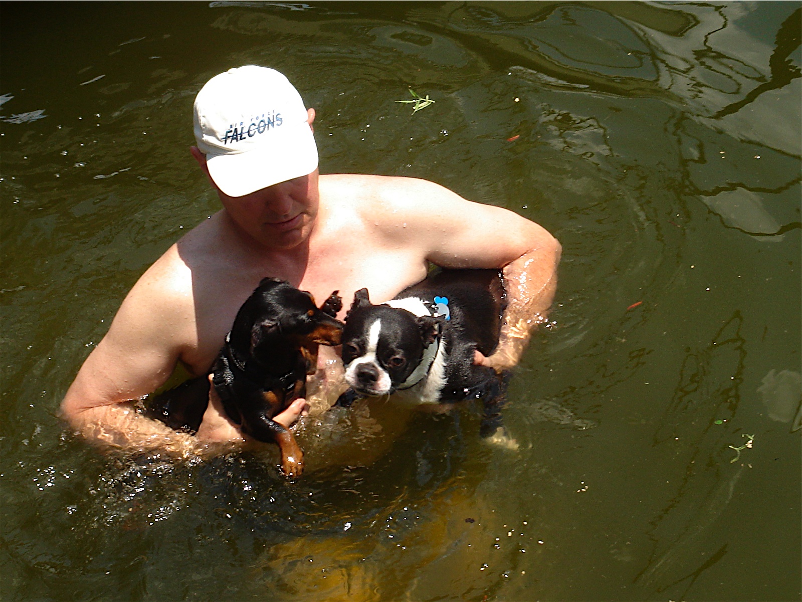 Chiku and Buster swimming