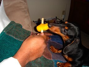Ice cream time