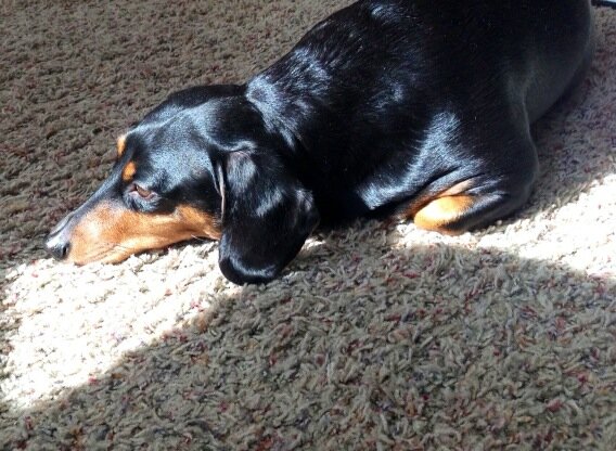 Enjoying some sunshine