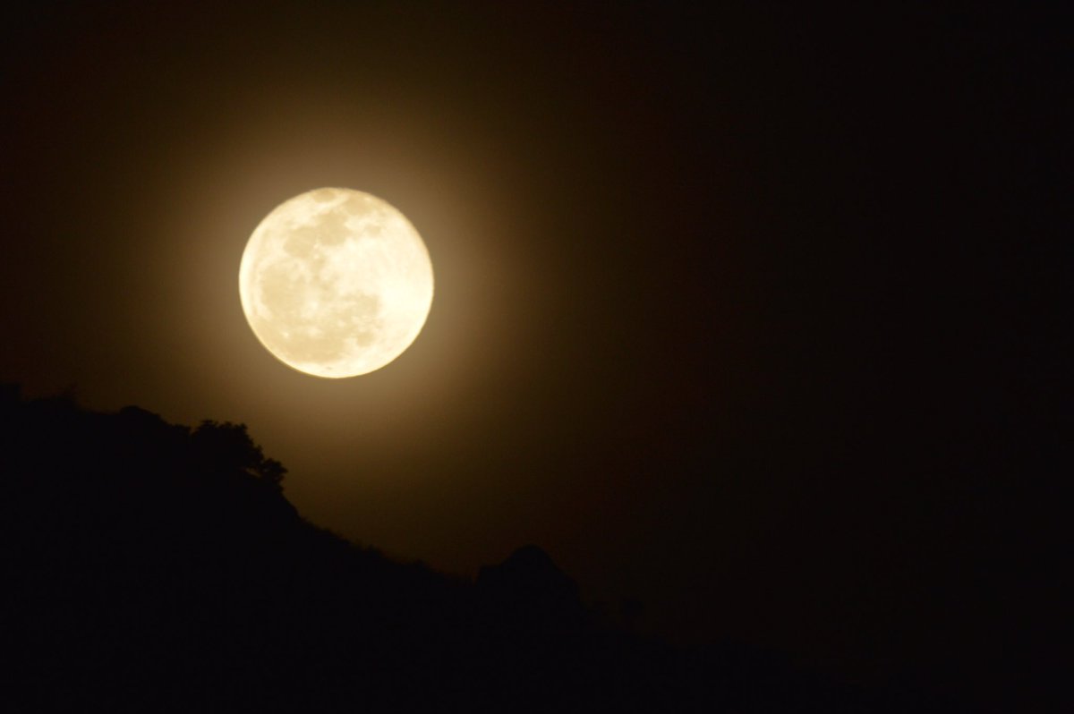 Last night, the moon looked beautiful