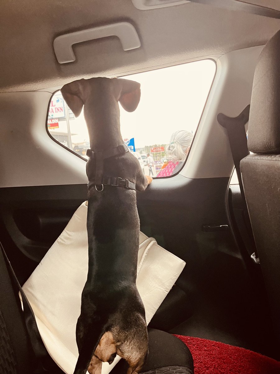 Are we there yet